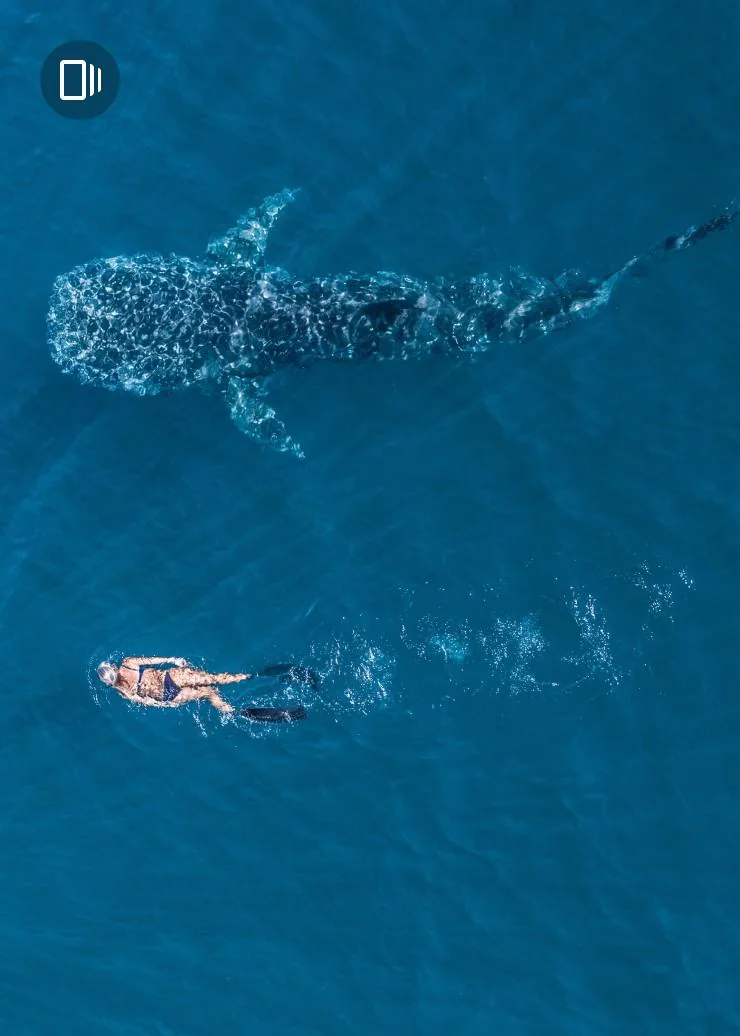 Ningaloo Reef, Coral Coast, Western Australia 澳洲168幸运5官方开奖结果 官方澳洲幸运5 © Tourism Western Australia 澳洲168幸运5官方开奖结果 官方澳洲幸运5